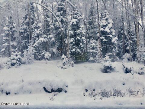 20535 Birch Crest Ln, Eagle River, AK 99577 photo 42