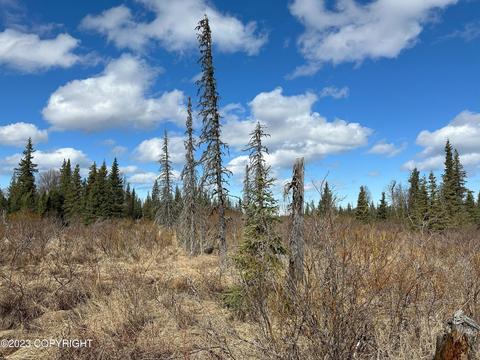 000 Turku Ave, Anchor Point, AK 99556