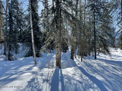 19549 N Montague Loop, Eagle River, AK 99577 photo 27