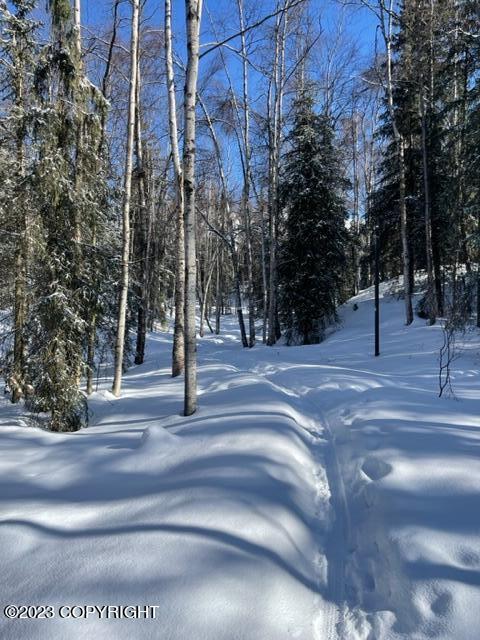 19549 N Montague Loop, Eagle River, AK 99577 photo 26