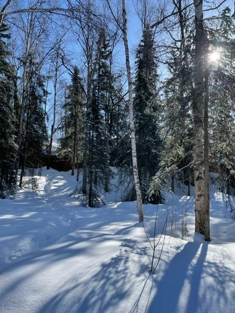 19549 N Montague Loop, Eagle River, AK 99577 photo 25