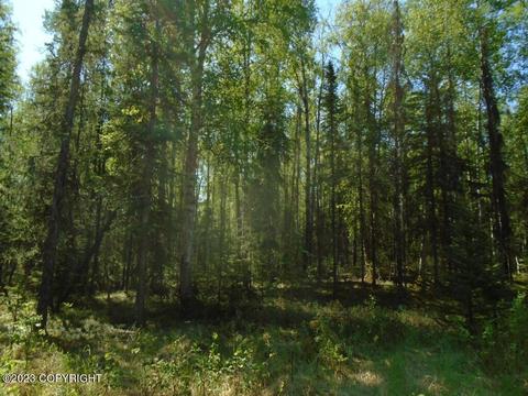 2120 N Carriage Ln, Wasilla, AK 99623