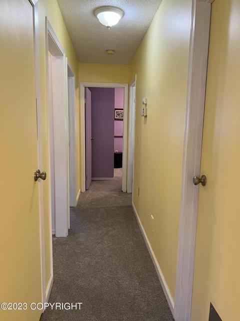 18914 Second St, Eagle River, AK 99577 photo 34