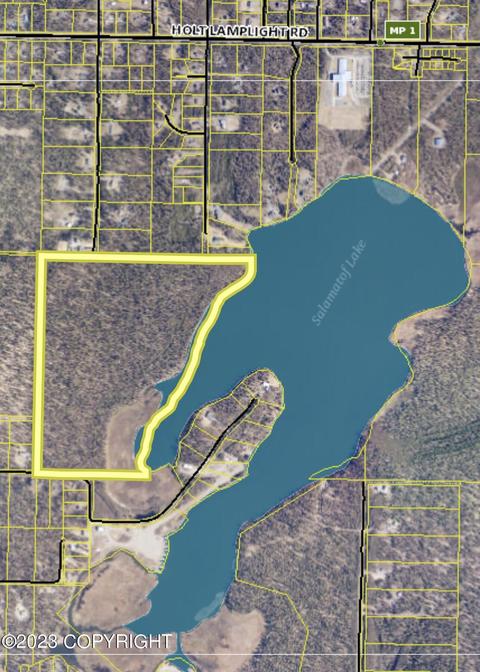 T7n Miller Loop Road, Nikiskinorth Kenai, AK 99635