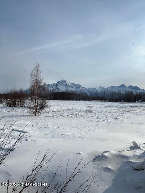 516 E Cooper Loop, Palmer, AK 99645 photo 4