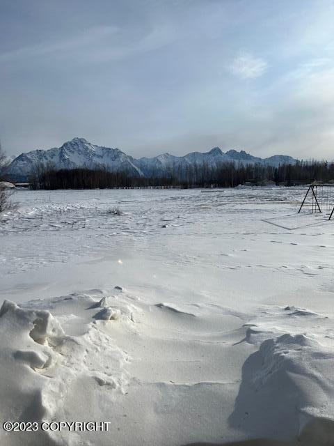 516 E Cooper Loop, Palmer, AK 99645 photo 3