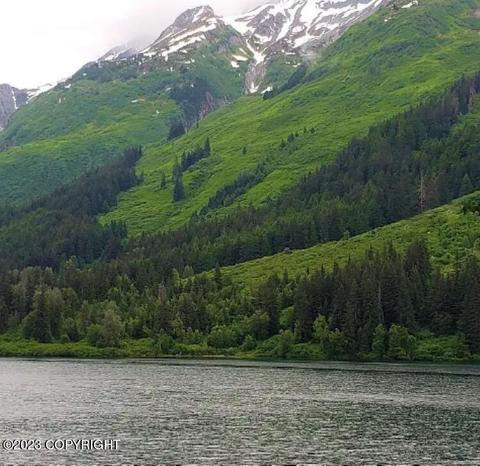 Nhn L5 B6 Chilkat Lake, Haines, AK 99827