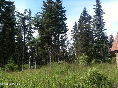 22926 Shady Dr, Ninilchik, AK 99639 photo 1