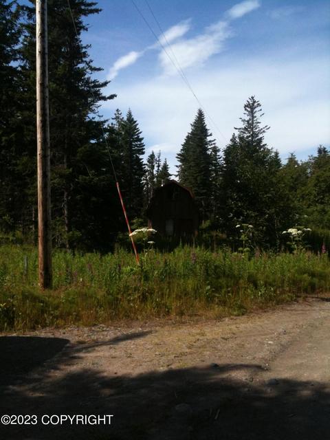 22926 Shady Dr, Ninilchik, AK 99639 photo 2