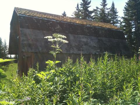 22926 Shady Dr, Ninilchik, AK 99639 photo 6