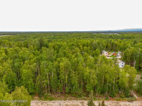 24622 N Otter Lake Loop, Willow, AK 99688
