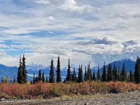 3398 E My Reka Ave, Chickaloon, AK 99674