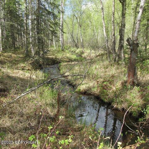 Tr A N Meadow Lakes Loop, Wasilla, AK 99623