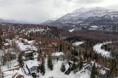 9825 Saaya Cir, Eagle River, AK 99577 photo 35
