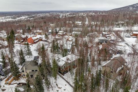 9825 Saaya Cir, Eagle River, AK 99577 photo 34