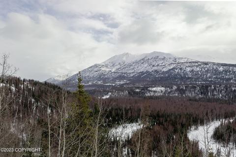 9825 Saaya Cir, Eagle River, AK 99577 photo 36