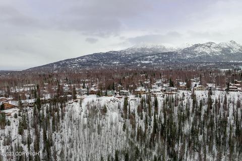 9825 Saaya Cir, Eagle River, AK 99577 photo 38