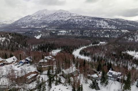 9825 Saaya Cir, Eagle River, AK 99577 photo 41