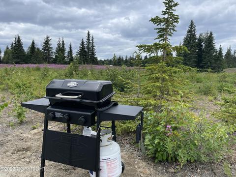 69304 Sergeant Ave, Anchor Point, AK 99556 photo 8