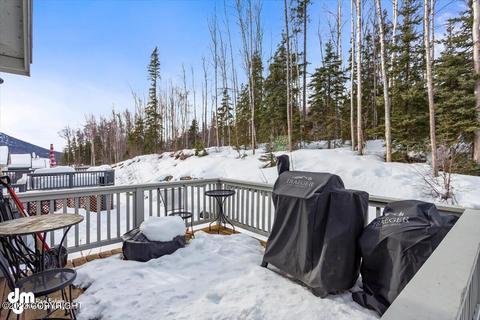 20543 Birch Crest Ln, Eagle River, AK 99577 photo 46