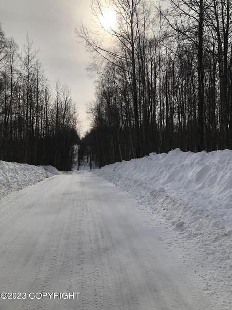 L2 B5 Barksdale Drive, Nikiskinorth Kenai, AK 99611