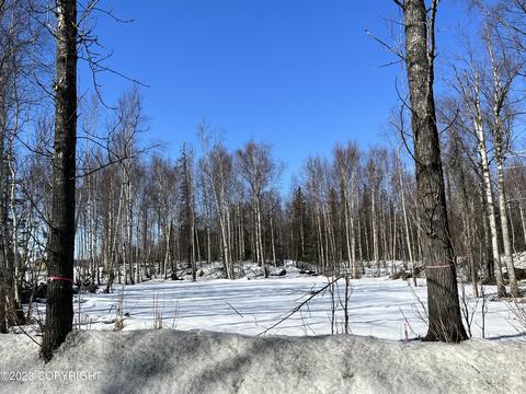 1861 W Lake Lucille Dr, Wasilla, AK 99654