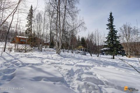 24324 Whaley Ave, Chugiak, AK 99567 photo 39