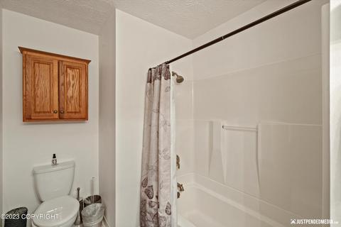 18619 Talarik Dr, Eagle River, AK 99577 photo 45