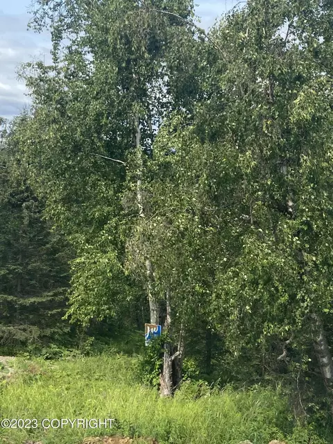 2541 W Longview Cir, Wasilla, AK 99654