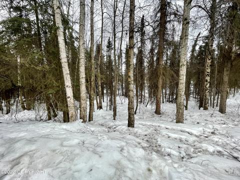 480 E 56th Ave # 6-E, Anchorage, AK 99518 photo 18