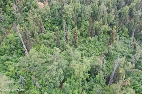 003 No Rd, Eagle River, AK 99577 photo 8