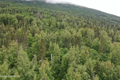 003 No Rd, Eagle River, AK 99577 photo 2