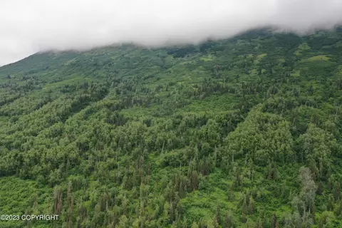 003 No Rd, Eagle River, AK 99577 photo 9