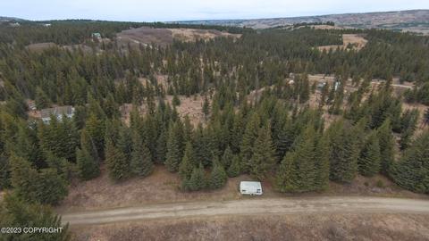 39165 Suchaview Rd, Homer, AK 99603