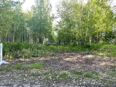 24017 Wade Dr, Willow, AK 99688