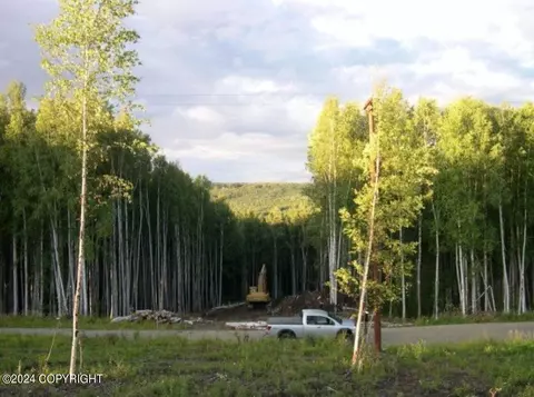 Tract C Birch Knoll Road, Fairbanks, AK 99712