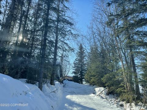 5522 E 97th Ave, Anchorage, AK 99507 photo 22