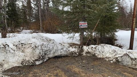 L1 B4 Twilight Street, Ninilchik, AK 99556