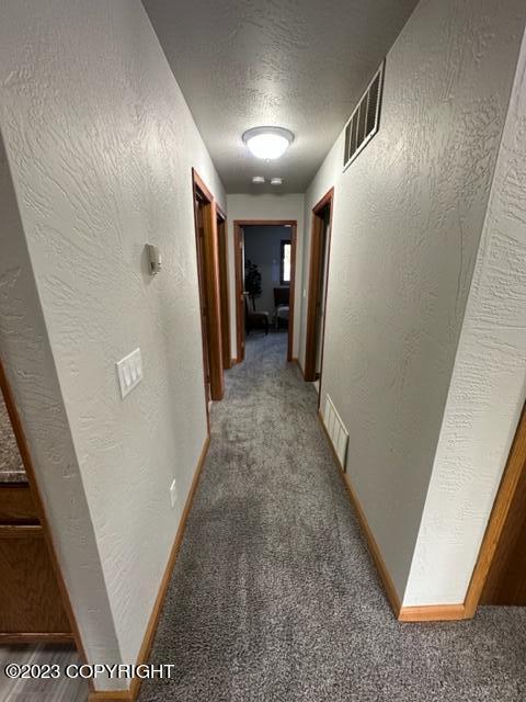 8101 Evans Cir, Anchorage, AK 99507 photo 14