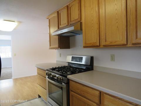 20049 Tenada Ave, Chugiak, AK 99567 photo 4