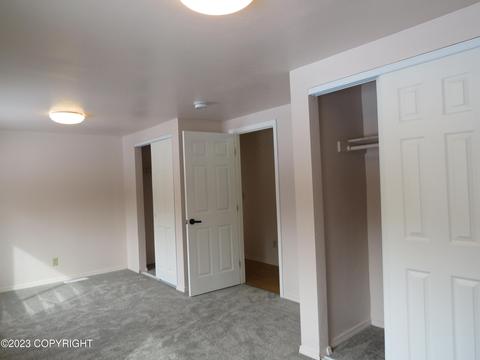 20049 Tenada Ave, Chugiak, AK 99567 photo 10