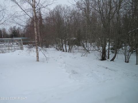 20049 Tenada Ave, Chugiak, AK 99567 photo 23