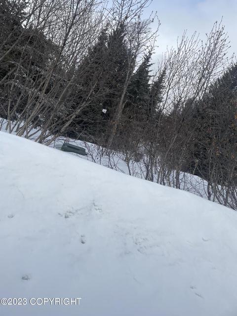 17908 Arcturus Loop, Ninilchik, AK 99639 photo 15