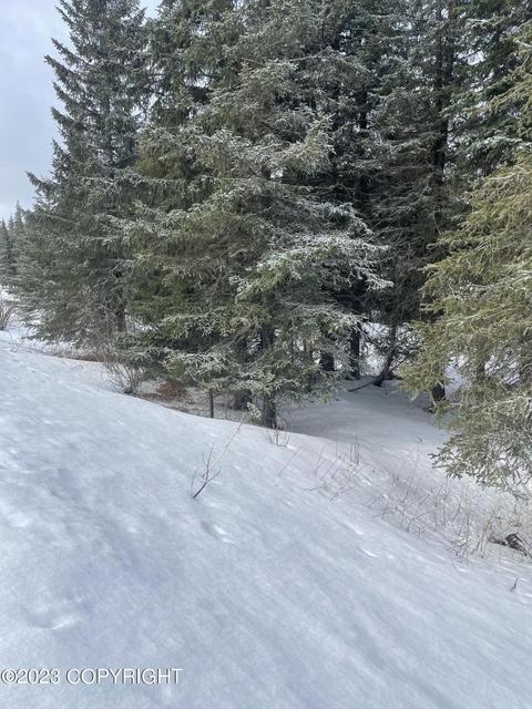 17908 Arcturus Loop, Ninilchik, AK 99639 photo 5