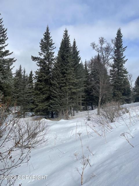 17908 Arcturus Loop, Ninilchik, AK 99639 photo 4