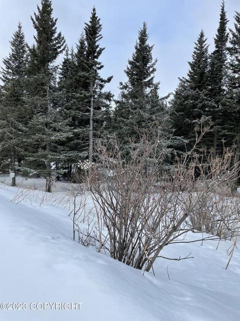 17908 Arcturus Loop, Ninilchik, AK 99639 photo 1