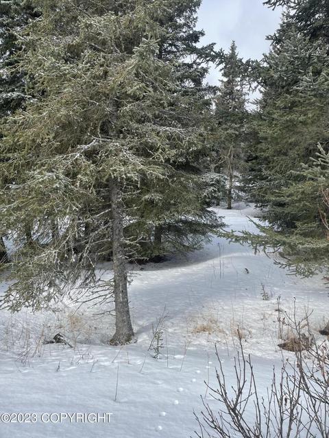 17908 Arcturus Loop, Ninilchik, AK 99639 photo 7