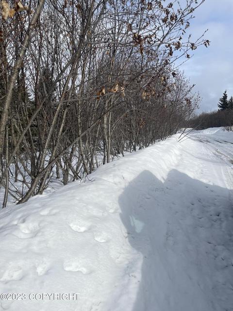17908 Arcturus Loop, Ninilchik, AK 99639 photo 10