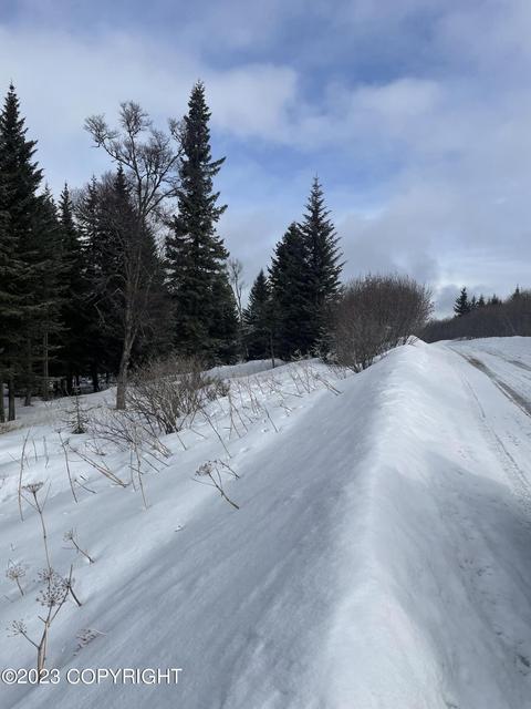 17908 Arcturus Loop, Ninilchik, AK 99639 photo 3