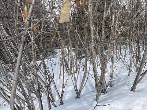 17908 Arcturus Loop, Ninilchik, AK 99639 photo 13